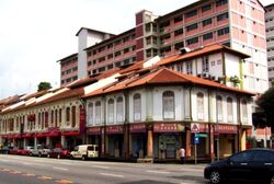 Geylang Conservation Area (D14), Shop House #460764891